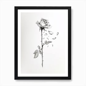 English Rose Petals Line Drawing 1 Art Print