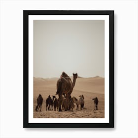 Caravan of Camels mom - Al Wathba Abu Dhabi UAE photo print - moody animal photography art Art Print Art Print