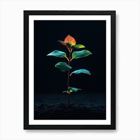 Tree Grows In The Dark 3 Art Print