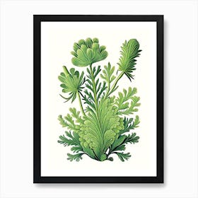 Club Moss Wildflower Vintage Botanical 1 Art Print