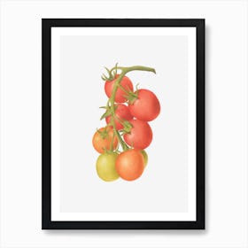Cherry Tomato Art Print