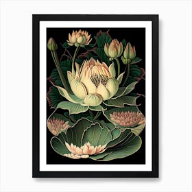 Water Lily 1 Floral Botanical Vintage Poster Flower Art Print