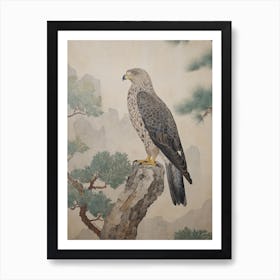 Vintage Hawk Drawing Art Print