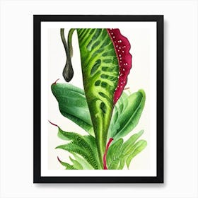 Hart's Tongue Fern Wildflower Watercolour 1 Art Print