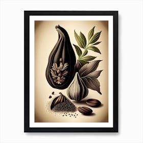 Black Cardamom Spices And Herbs Retro Drawing 1 Art Print