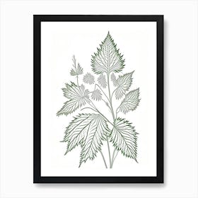 Nettle Herb William Morris Inspired Line Drawing 2 Póster