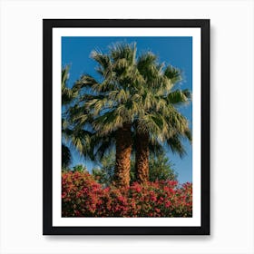 Palm Springs Palms Ii Art Print