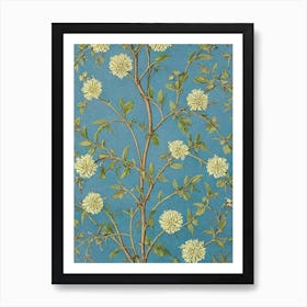 Acacia 1 tree Vintage Botanical Art Print