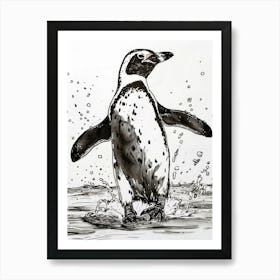 African Penguin Hauling Out Of The Water 3 Art Print