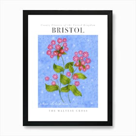 County Flower of Bristol Maltese Cross Art Print