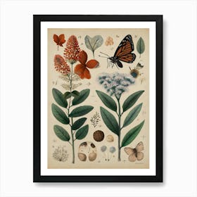 Botanical Garden Art Print