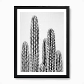 Cactus 2 - Black & White Art Print