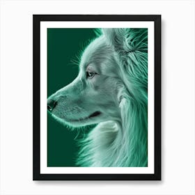 Border Collie Close Up Generated with AI Poster