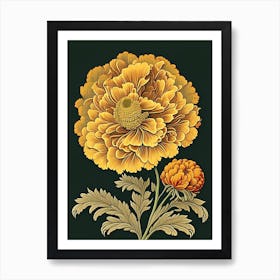 Marigold 3 Floral Botanical Vintage Poster Flower Art Print