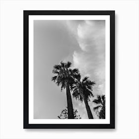 Palms And Clouds Art Print