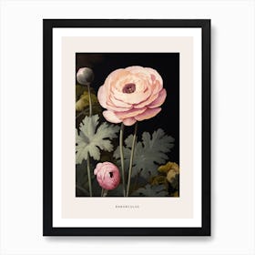 Flower Illustration Ranunculus 1 Poster Art Print