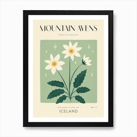 Vintage Green And White Mountain Avens Flower Of Iceland Art Print