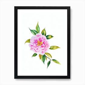 Camellia Watercolour Flower Art Print