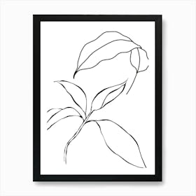 Drawing Of A Leaf Art Print