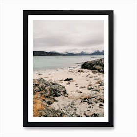 Moody Pnw Beach Art Print