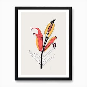 Inca Lily Floral Minimal Line Drawing 2 Flower Art Print