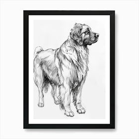 Leonberger Dog Line Sketch 3 Art Print