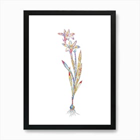Stained Glass Ixia Liliago Mosaic Botanical Illustration on White n.0290 Art Print
