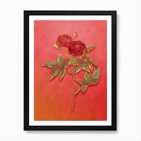 Vintage Van Eeden Rose Botanical Art on Fiery Red n.0735 Art Print