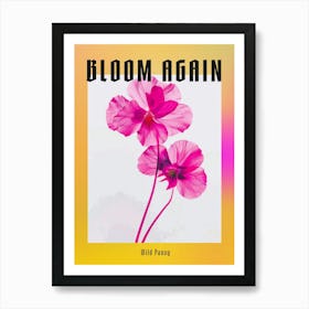 Hot Pink Wild Pansy Poster Art Print