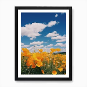 Field Of Poppies 1 Art Print