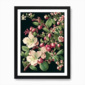 Cherry Blossom 3 Floral Botanical Vintage Poster Flower Art Print