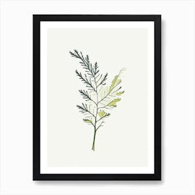 Yarrow Leaf Minimalist Watercolour 3 Art Print