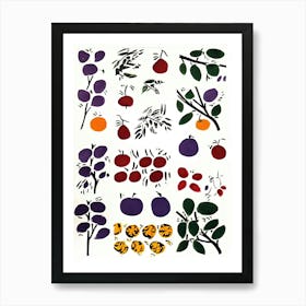 Plum Fruit Drawing 2 Art Print