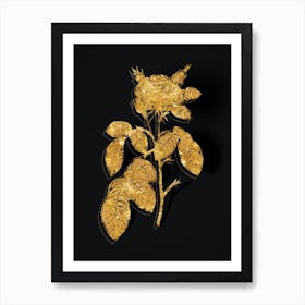 Vintage Red Gallic Rose Botanical in Gold on Black n.0405 Art Print