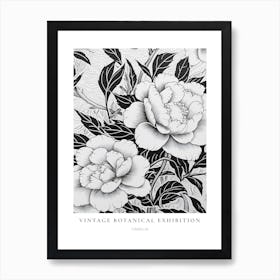 Camellia B&W Vintage Botanical Poster Art Print