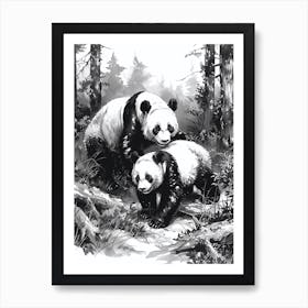 Giant Panda Playing Together In A Forest Ink Illustration 3 Art Print