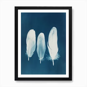 3 Feathers Art Print