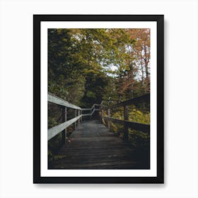 Into The Woods Art Print