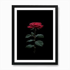 Rose On A Black Background 15 Art Print