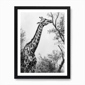 Giraffe With Head In The Branches Pencil Drawing 8 Art Print