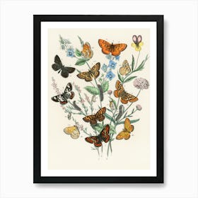 Butterflies And Flowers Art Print