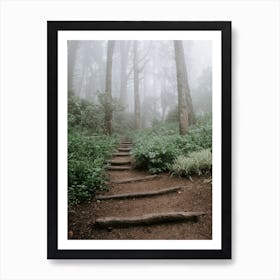 Stairway into a forest in Sintra, Portugal Art Print