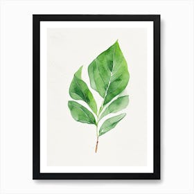 Spinach Leaf Minimalist Watercolour Art Print