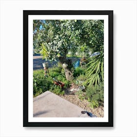 California Garden Art Print