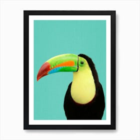 Toucan Bird In Blue Art Print