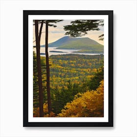 Acadia National Park United States Of America Vintage Poster Art Print