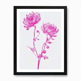 Hot Pink Chrysanthemum 2 Art Print