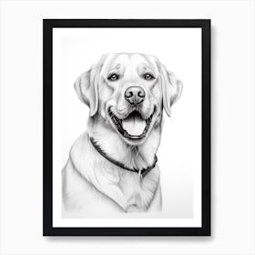 Labrador Retriever Dog, Line Drawing 1 Art Print