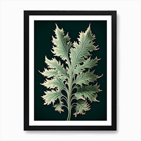 Artemisia Leaf Vintage Botanical 3 Art Print
