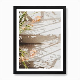Flowers And Steps Art Print